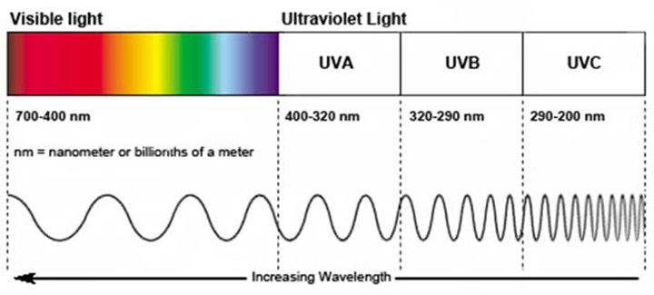 UVA_and_UVB_lamps_in_UV_test_chambers1.jpg